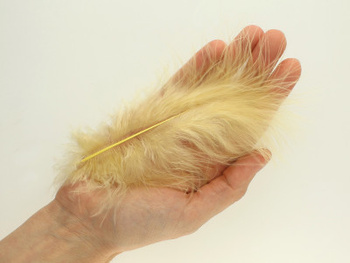 Piórka / indycze / 10-17cm / beżowy / 4szt