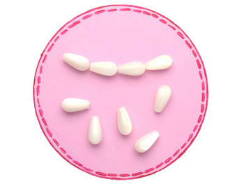 Kropla / muszla / 6x12mm / kremowy / 6szt