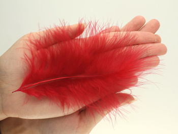 Piórka / indycze / 10-17cm / bordowy / 4szt
