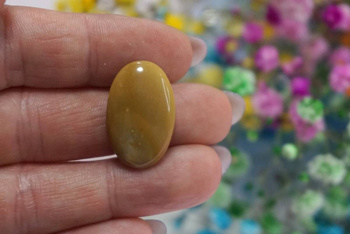 Jaspis / kaboszon / klasa AAA / 25x16x6mm / beżowy / 1szt