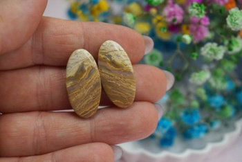 Fossil palmowy / kaboszony para / klasa AAA / 26x13x4mm / 2szt