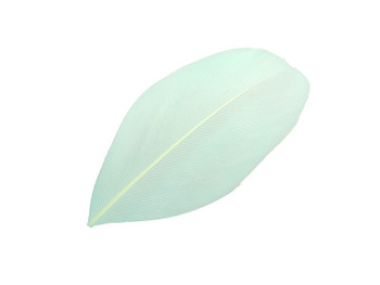 Piórka / gęsie / 5-7cm / miętowy / 4szt