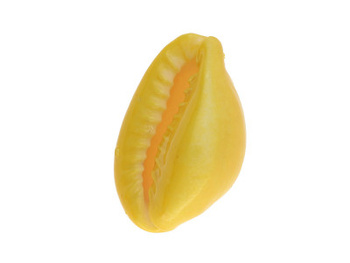 Muszelki Kauri / łącznik / żółty / 20x15x11mm / 6szt