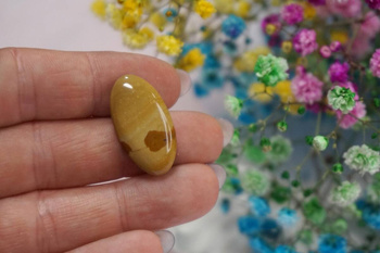 Jaspis / kaboszon / klasa AAA / 27x14x5mm / beżowy / 1szt