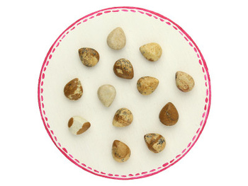 Jaspis pejzażowy / kropla płaska / 8x10x5mm / 2szt