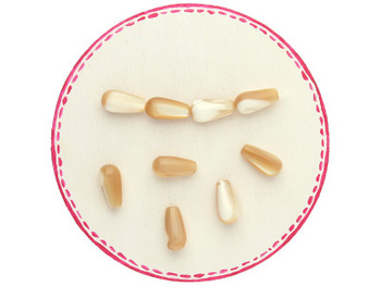 Kropla / muszla / 5x8mm / beżowy / 10szt