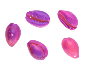 Muszelki Kauri / łącznik / II gatunek / fioletowy / 20x15x11mm / 6szt