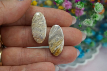 Fossil palmowy / kaboszony para / klasa AAA / 26x13x4mm / 2szt