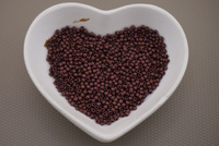 TOHO™ / Round / 11/0 / Frosted Dk Bronze / 10g / ~1100szt