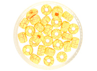 Matubo Seed Bead / 2/0 / Ionic Yellow/Red / 5g / ~22szt