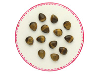 Tygrysie oko / kropla płaska / 8x10x5mm / 2szt