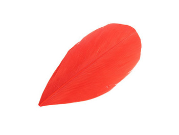 Piórka / gęsie / 5-7cm / czerwony / 4szt