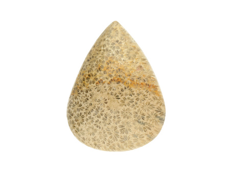 Fossil / kaboszon / 31x24x7mm / beżowy / 1szt