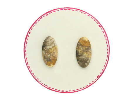 Fossil palmowy / kaboszony para / klasa AAA / 27x14x3mm / 2 szt