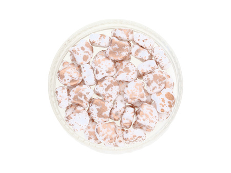 GINKO™ / 7.5x7.5mm / Copper Splash / White / 5g / ~20szt