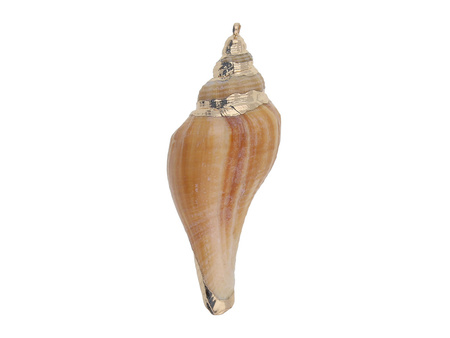 Muszelka ze złotym zdobieniem / zawieszka / brązowy / 52x19x17mm / 1szt