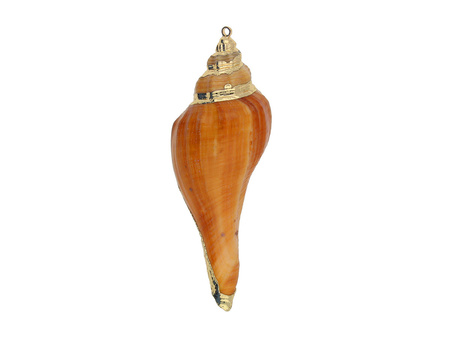 Muszelka ze złotym zdobieniem / zawieszka / brązowy / 57x22x18mm / 1szt