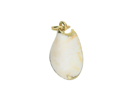 Muszelka ze złotym zdobieniem / zawieszka / kremowy / 25x14x8mm / 1szt