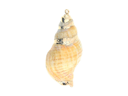 Muszelka ze złotym zdobieniem / zawieszka / pomarańczowy / 33x17x14mm / 1szt