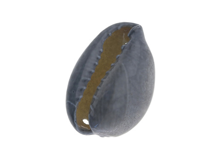 Muszelki Kauri / łącznik / szary / 20x15x11mm / 6szt