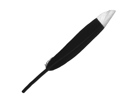 Pióra gęsie / styl boho / 14cm / czarny, srebrny / 10szt