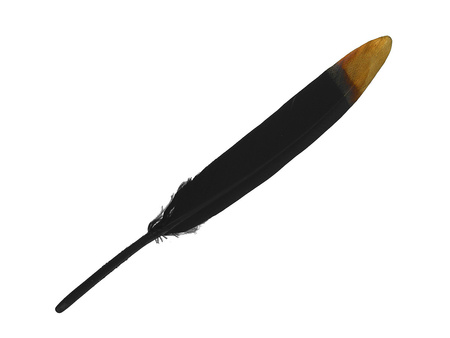 Pióra gęsie / styl boho / 14cm / czarny, złoty / 10szt
