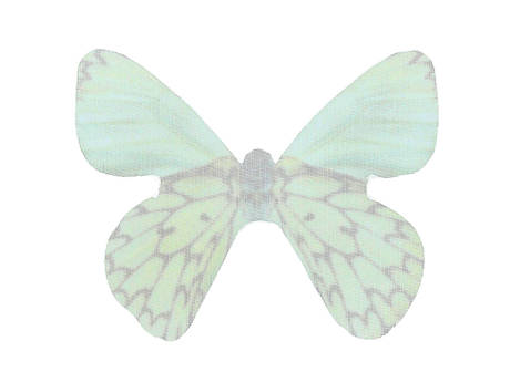 Skrzydła motyla / z organzy  / 31x43mm / zielony / 4szt