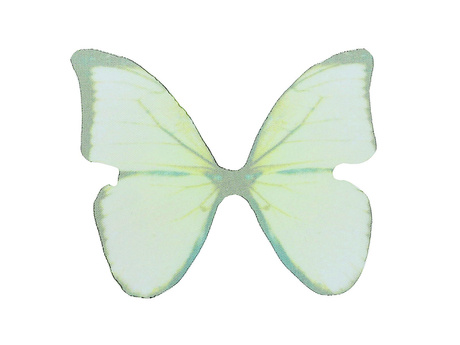Skrzydła motyla / z organzy  / 38x48mm / zielony / 4szt