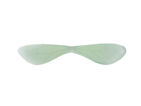 Skrzydła ważki / z organzy  / 59x11mm / zielony / 4szt